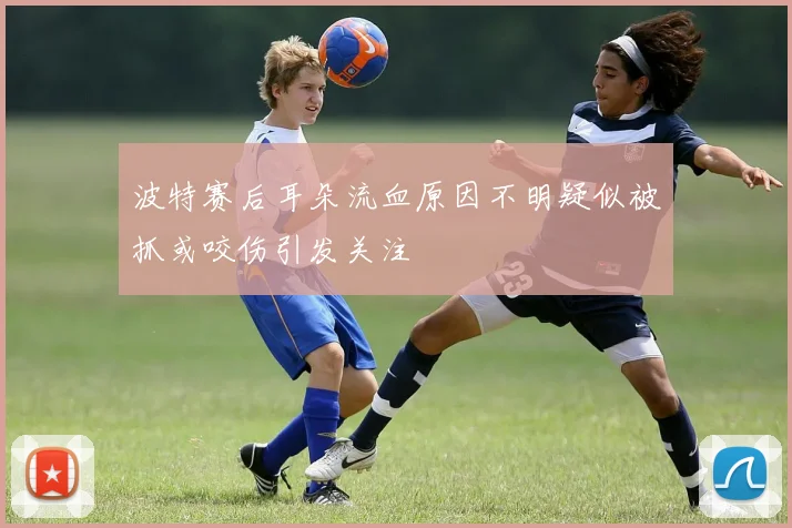 波特赛后耳朵流血原因不明疑似被抓或咬伤引发关注